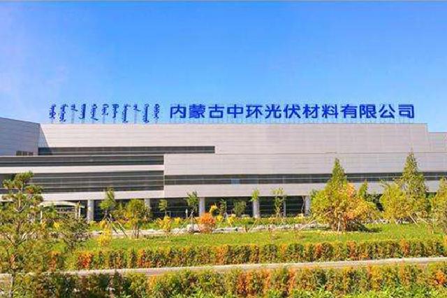 Inner Mongolia Zhonghuan Solar Material Co., Ltd.